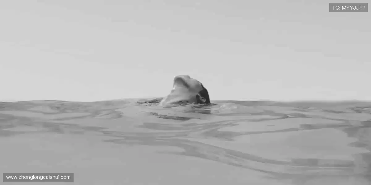 ⚡释放你的冠军潜能，装备你的热爱！💪